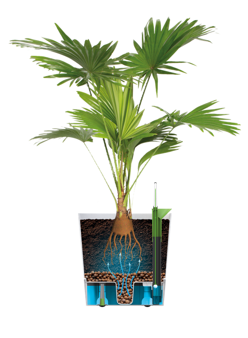 Greensense Aquacare Round Elho vaso auto-irrigável 35 cm cinzento carvão