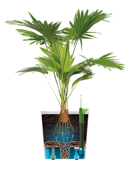 Greensense Aquacare Square Elho vaso auto-irrigável 30 cm cinzento carvão