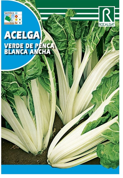 Semillas Acelga Penca Blanca 10g_0