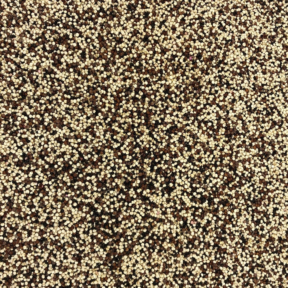 Quinoa Trio Blanca Roja Negra Orgánica Granel 0,25 Kg_2