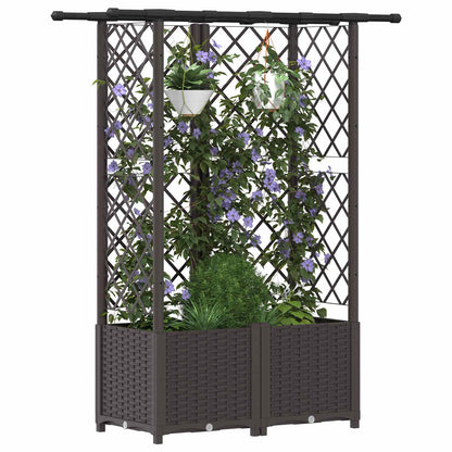 Cama Elevada Con Trellis Y Techo Marrón 124 X 40 X 136 Cm Pp_2