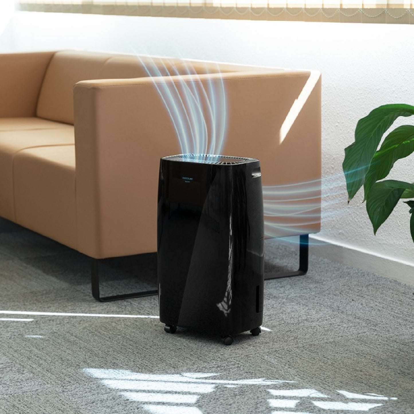 Cecotec Deshumidificador Deshumidificador Bigdry 4000 Expert Black_3