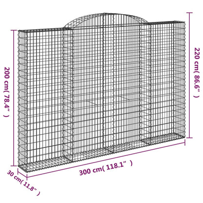 Cestas De Gaviones 4 Uds Forma De Arco Hierro 300x30x200/220 Cm_5
