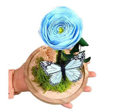Mundo Eterno Ranúnculo Azul En Cúpula 12x20cm_2