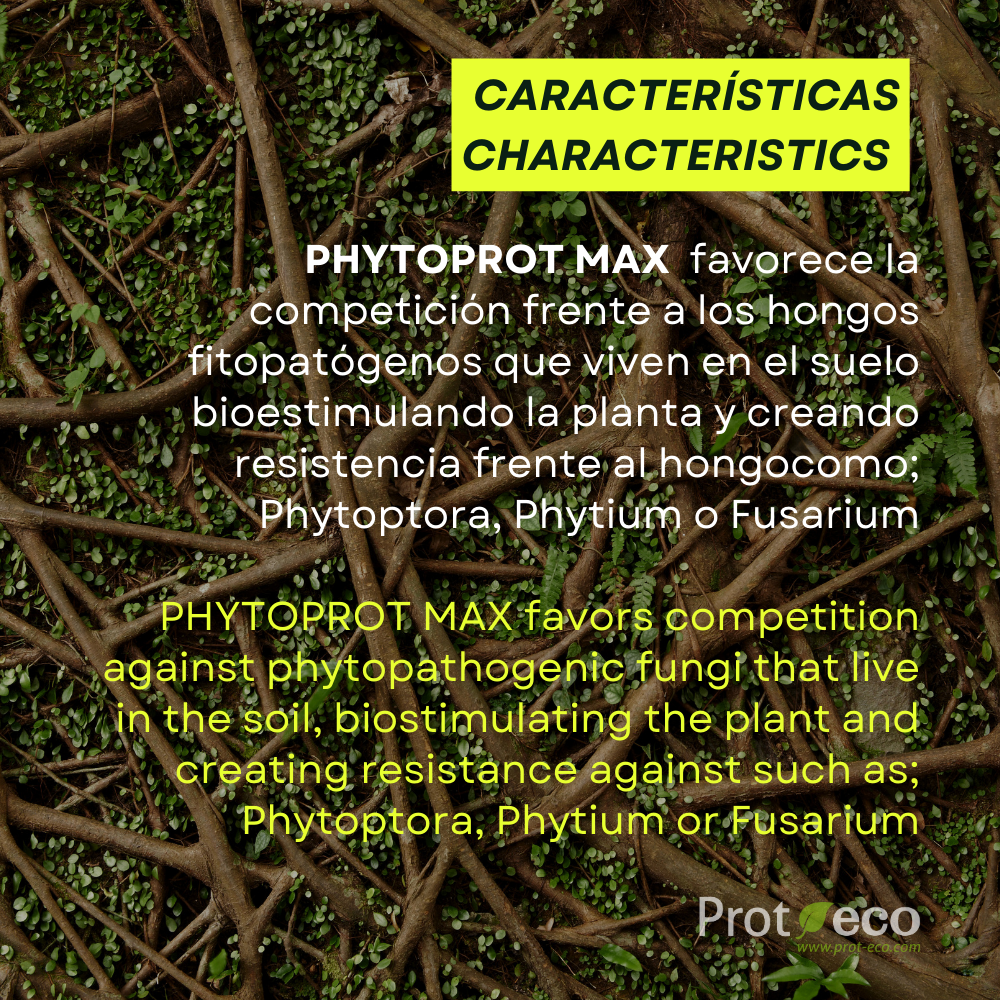 Phytoprot Max 100 ml – Prot-eco- Protección Radicular Ecológica Y Enraizamiento Vigoroso_3
