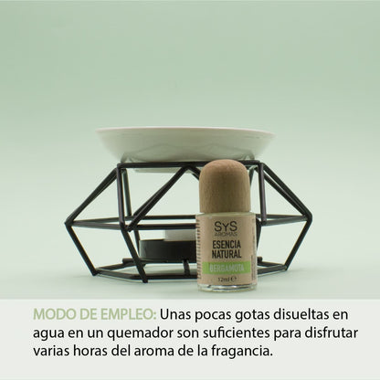 Esencia Aromática Bergamota 12 Ml | Aroma Cítrico Y Refrescante | Perfume Concentrado | Uso En Difusores_1