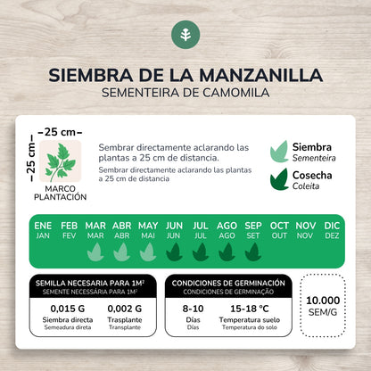 Sementes de Camomila Biológica Planeta Huerto