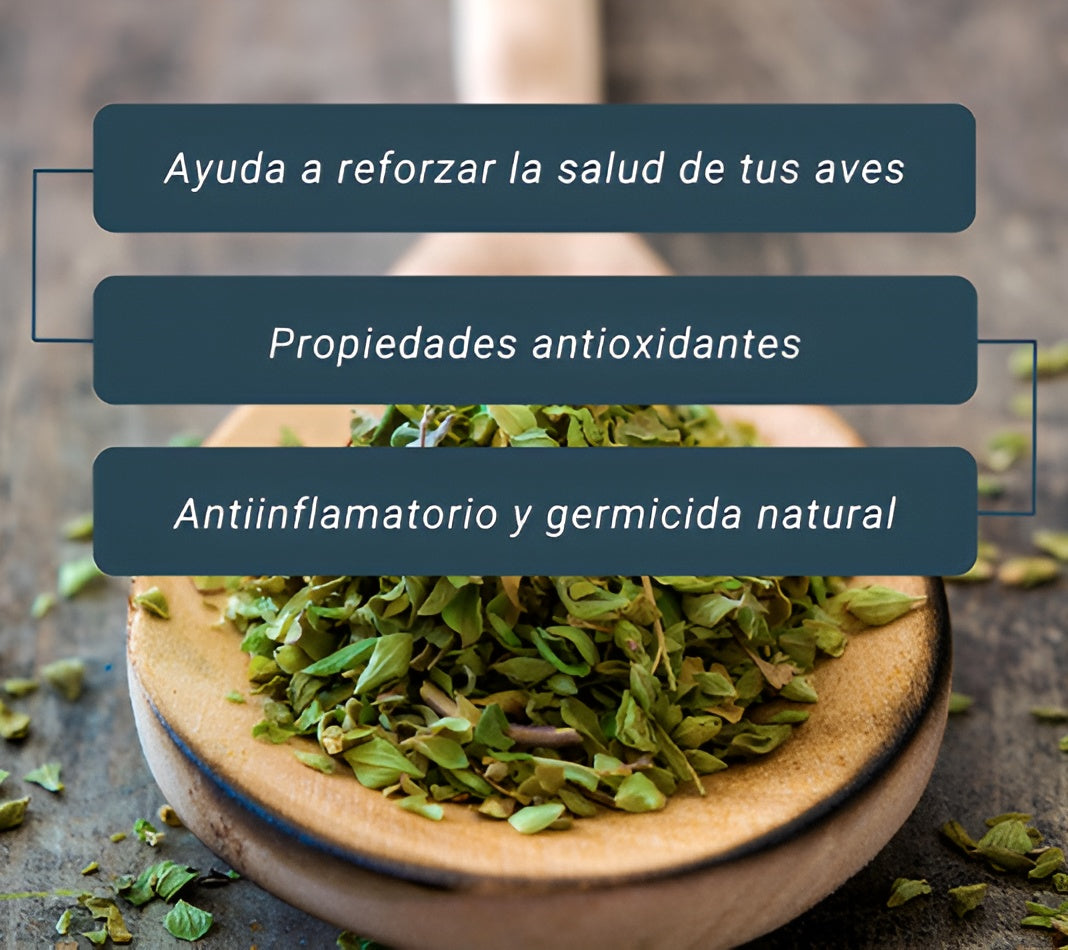 Orégano Para Gallinas Y Otras Aves De Corral. Propiedades Antiinflamatorias Y Germicidas - 150 G_2