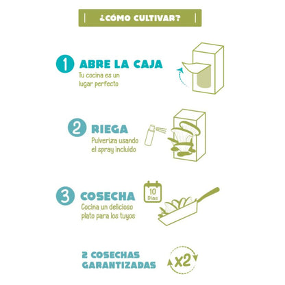 Kit de autocultivo de cogumelos gourmet de bolso