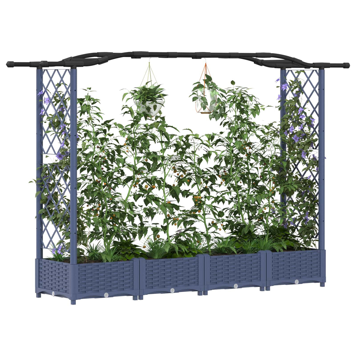 Cama Elevada Con Trellis Y Techo Gris 207 X 40 X 123 Cm Pp_2