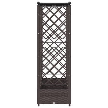 Cama Elevada Con Trellis Y Techo Marrón 203 X 40 X 121 Cm Pp_4
