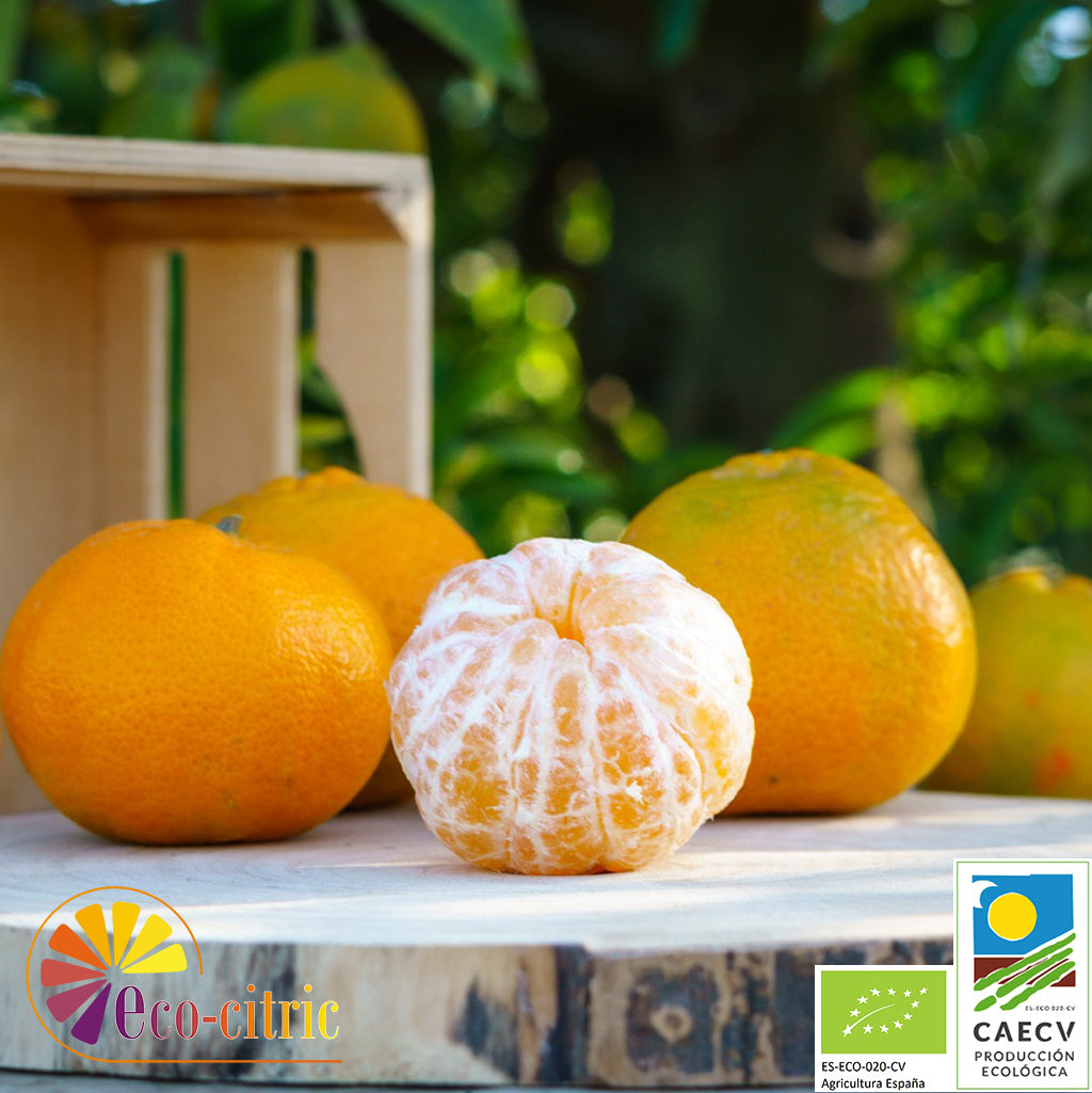 Mandarina Ecológica 10kg._1
