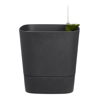 Greensense Aquacare Square Elho vaso auto-irrigável 30 cm cinzento carvão