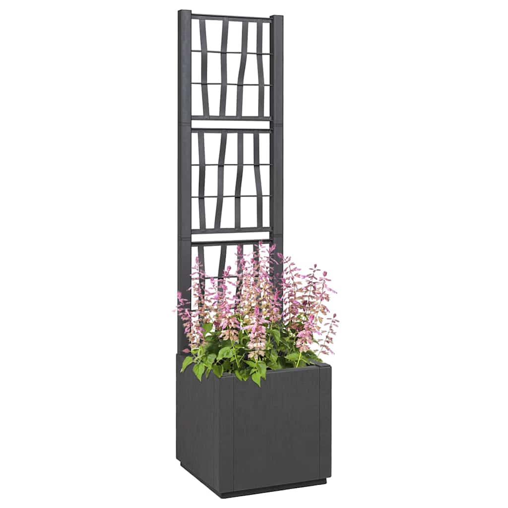 Maceta De Jardín Con Enrejado Gris Oscuro 36 X 36 X 140 Cm Pp_0