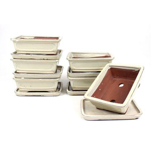 Vaso bonsai retangular 20 cm com pires creme