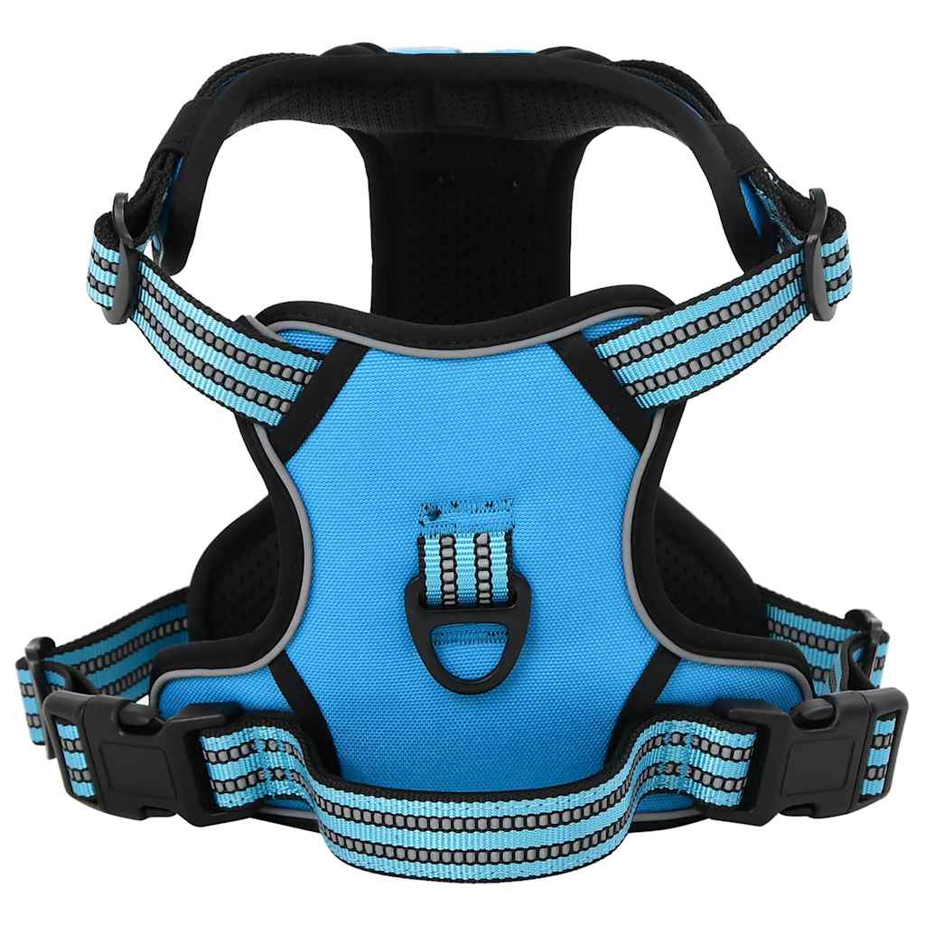 Arnés Para Perros Con Correa Y Collar Ajustable Azul L_0