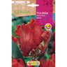 Bulbo de tulipa papagaio vermelho Rocalba 5 peças