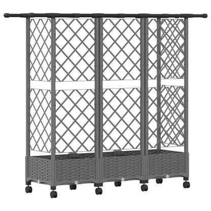 Cama Elevada Con Trellis Y Techo Gris Claro 164 X 40 X 127 Cm_4