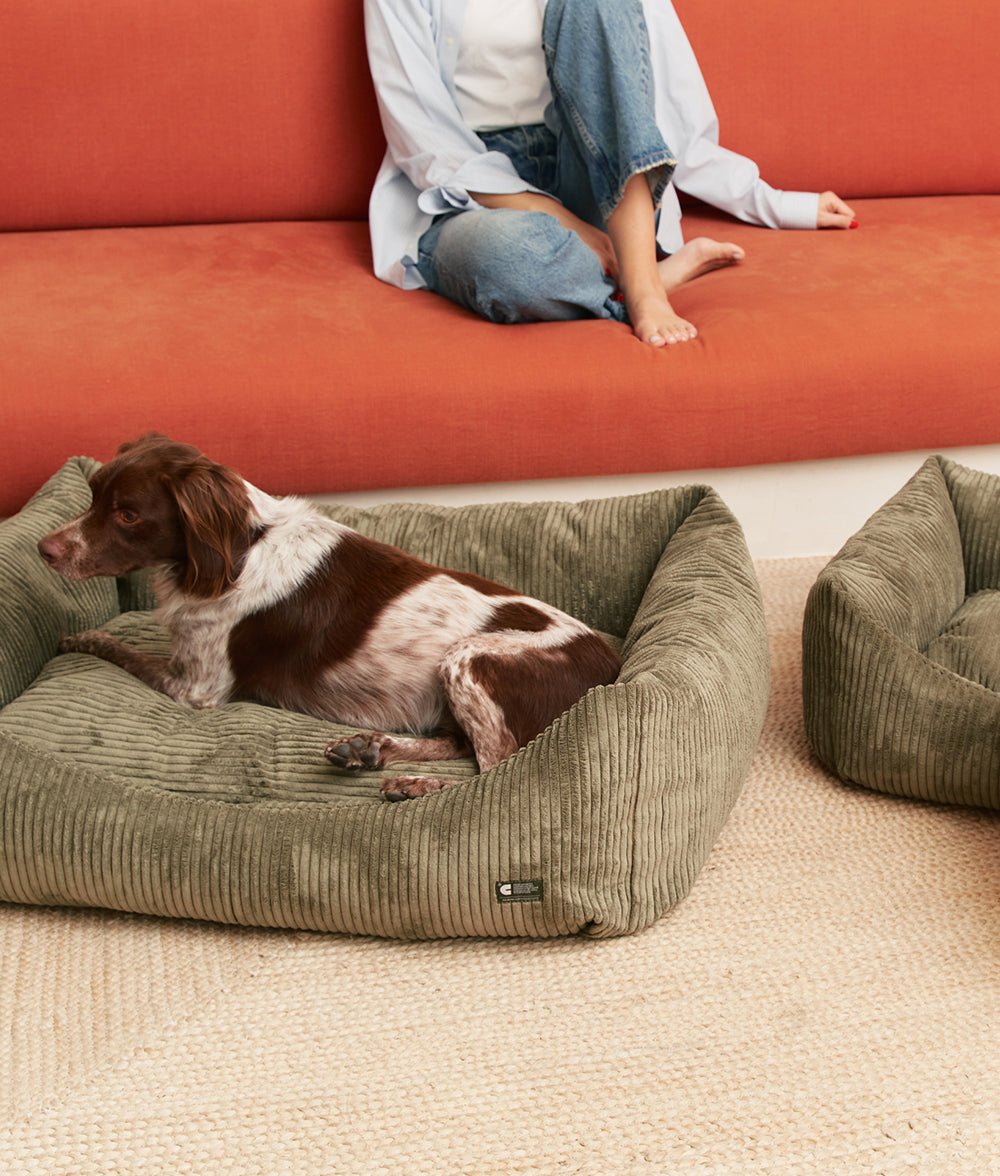 Cafide Cama De Material Reciclado Para Perro Con Tejido De Pana Verde. Modelo Snozy._4