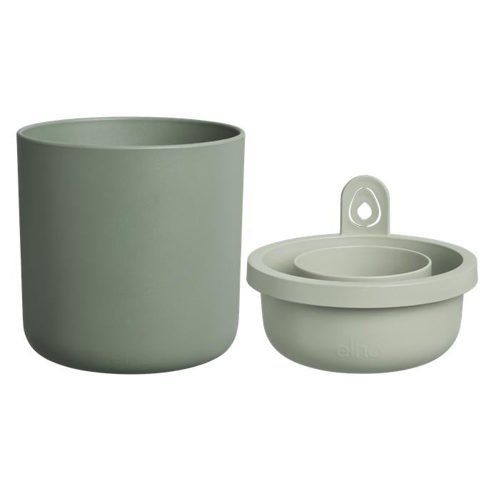 Incrível Abacate Elho Verde Abacate Germinante Pote