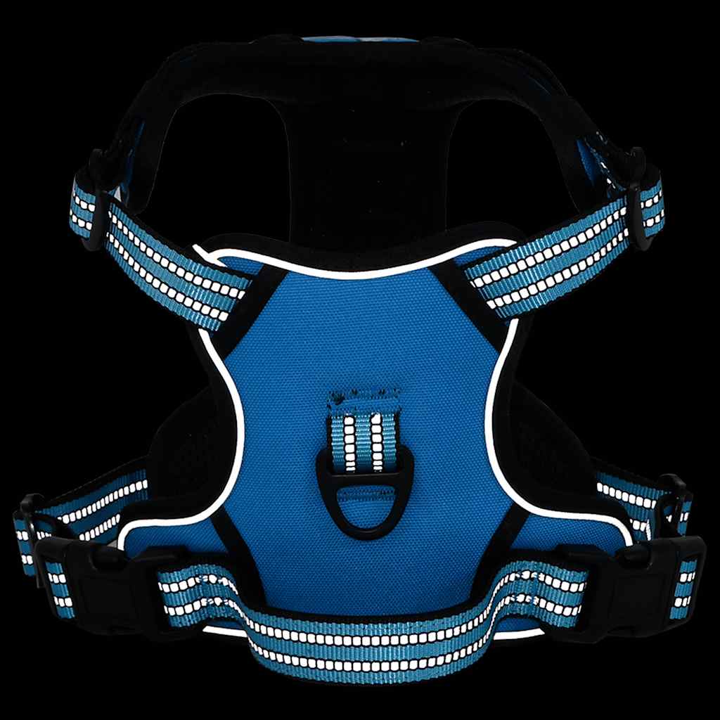 Arnés Para Perros Con Correa Y Collar Ajustable Azul L_4