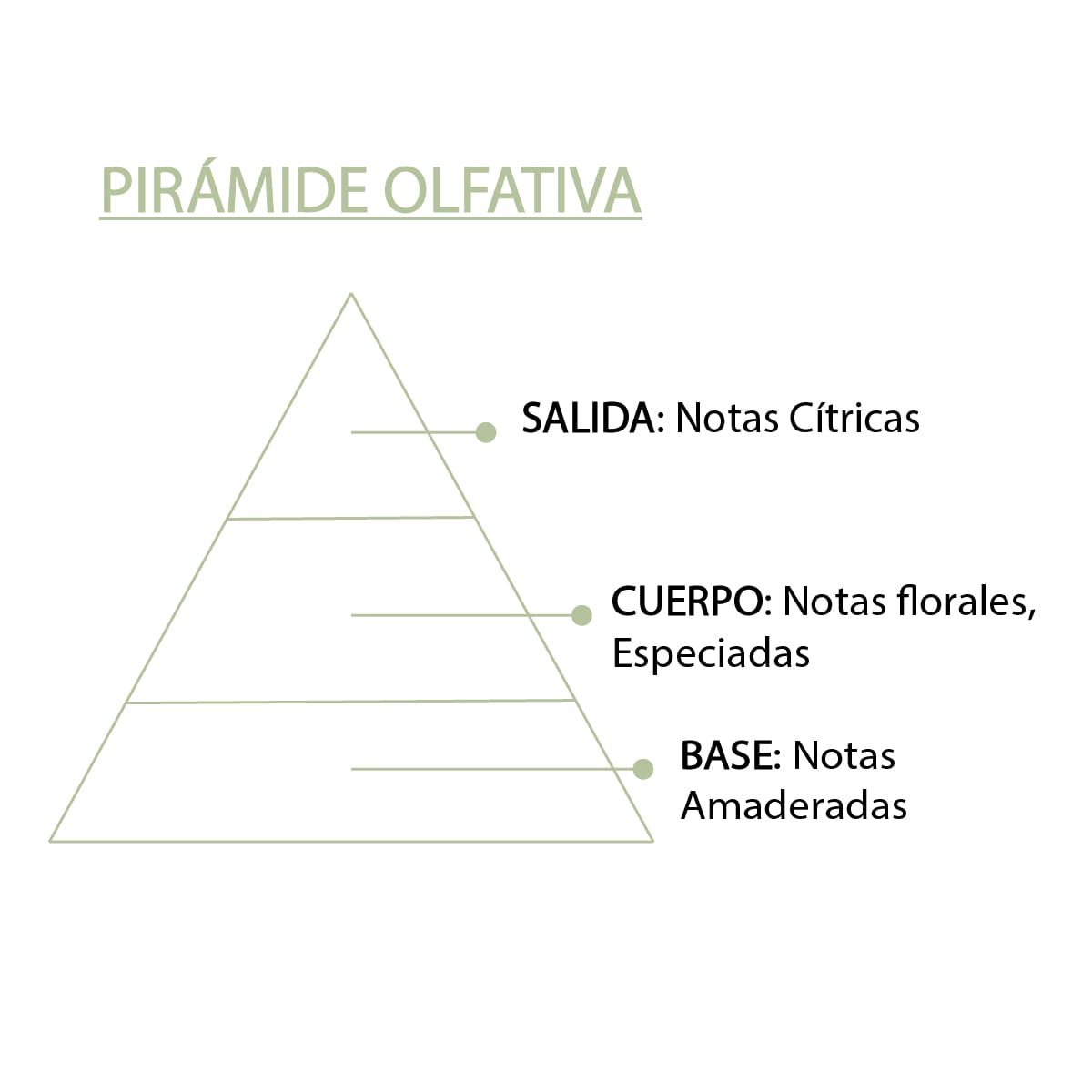 Esencia Aromática Bergamota 12 Ml | Aroma Cítrico Y Refrescante | Perfume Concentrado | Uso En Difusores_4