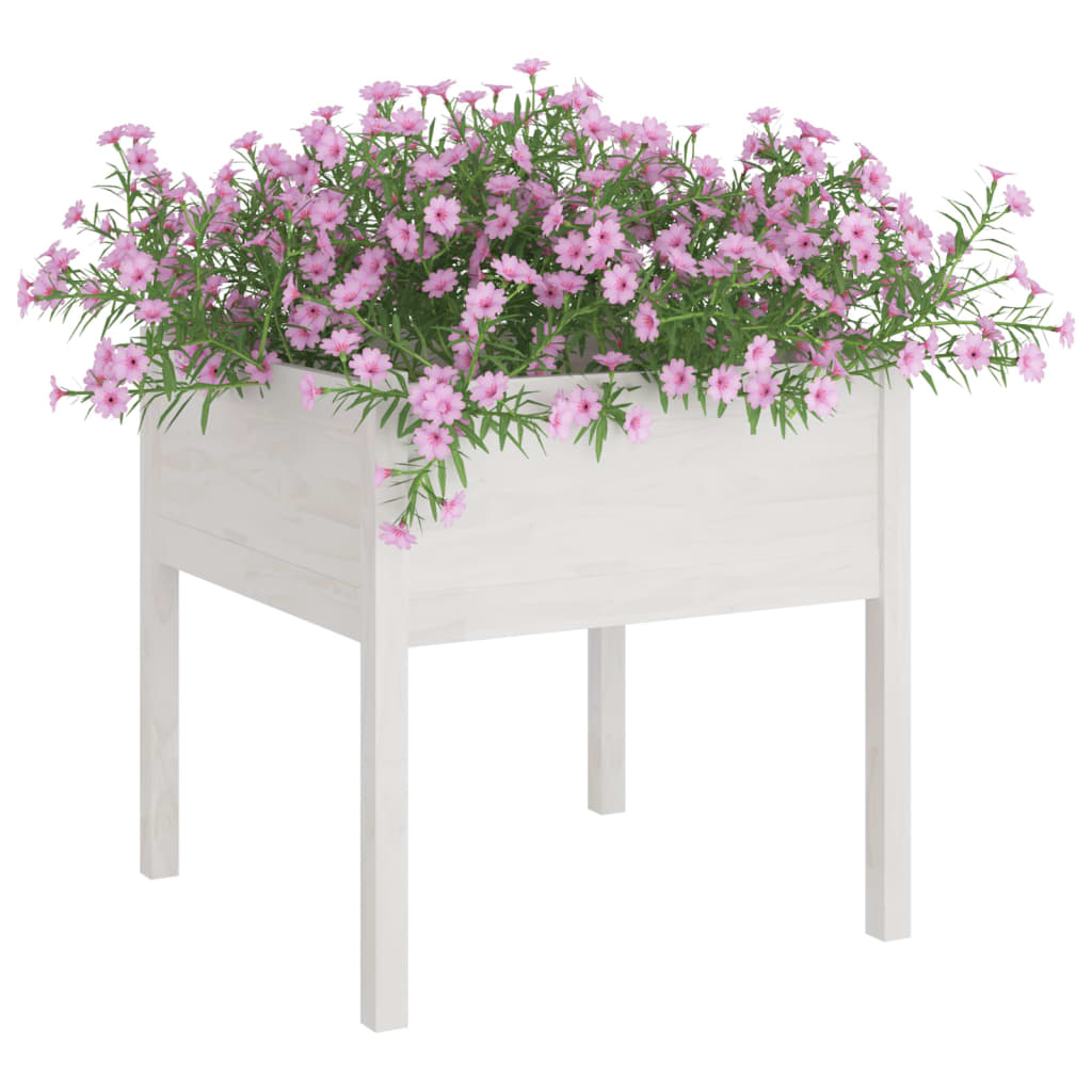 Jardineras 2 Uds Madera Maciza De Pino Blanco 70x70x70 Cm_2