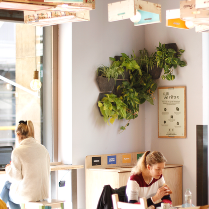 Jardín Vertical Modular Citysens Con Riego Automático De 3 Maceteros – Gris Claro Con Funda Téxtil Reciclada_1