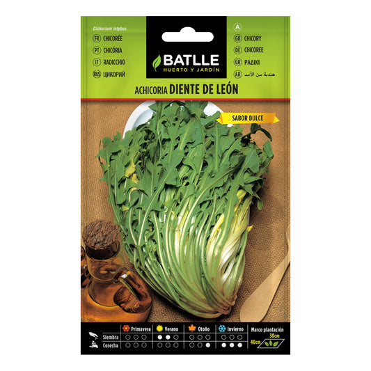 Sementes de dente-de-leão e chicória Batlle