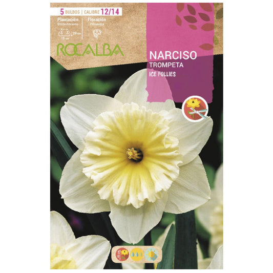 Bulbo de trombeta Narciso Ice Follies branco laranja 5 unidades Rocalba
