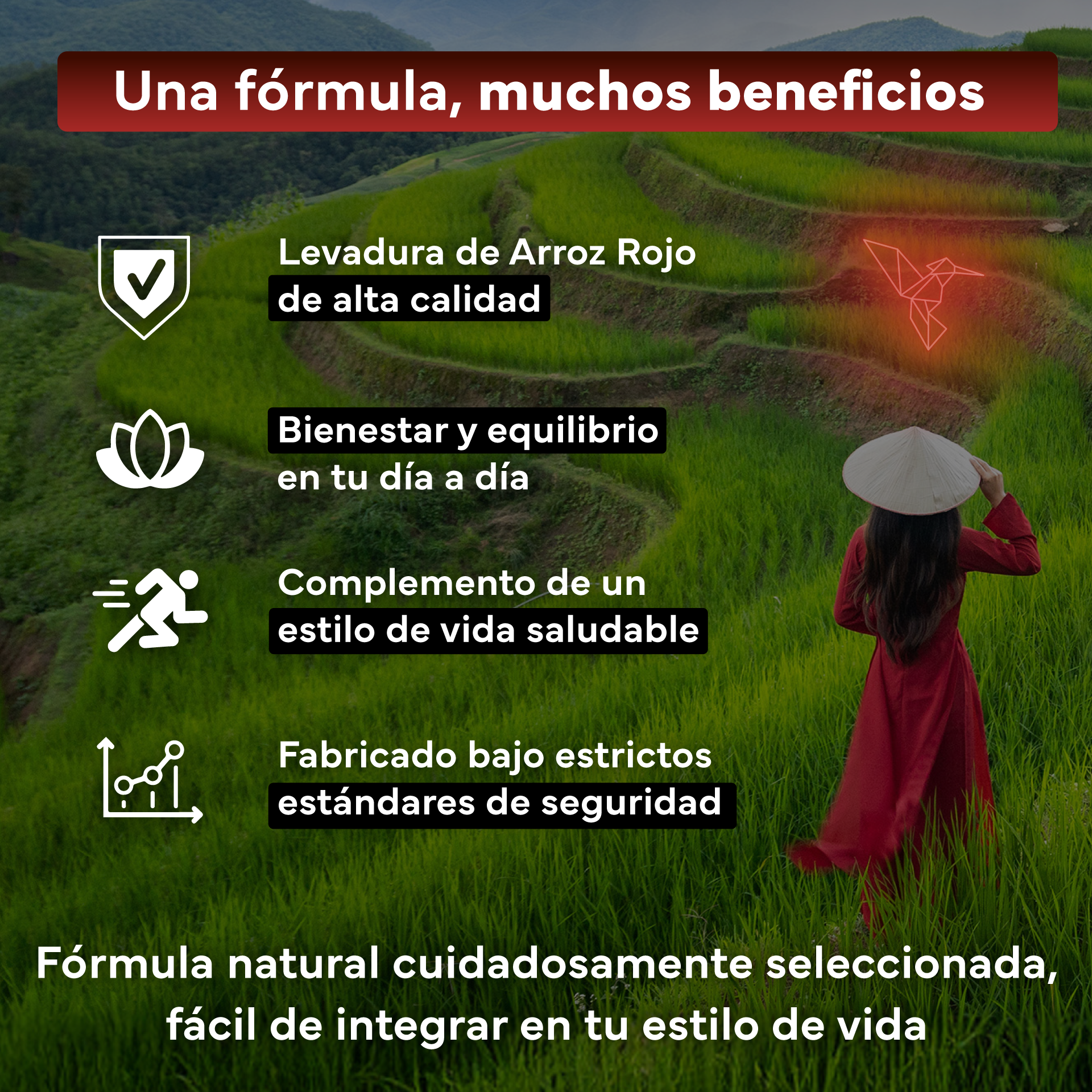 Pack 2x Levadura Arroz Rojo Sevens Nutrition. Con Monacolina K Y Coenzima Q10_2