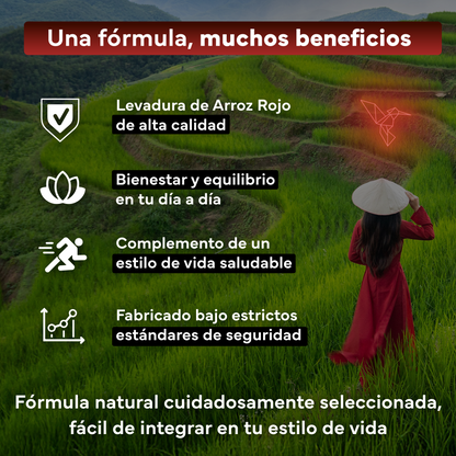 Pack 2x Levadura Arroz Rojo Sevens Nutrition. Con Monacolina K Y Coenzima Q10_2