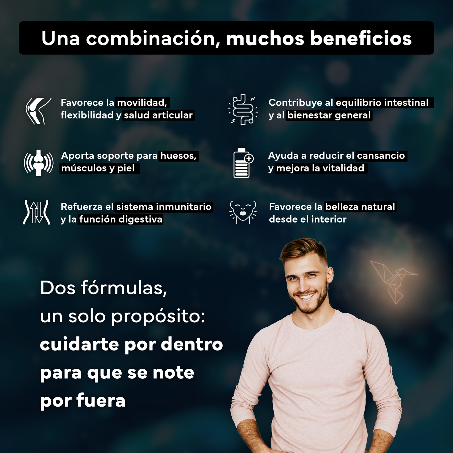 Colágeno Marino Con Magnesio + Probióticos Y Prebióticos. Sevens Nutrition. Salud Digestiva, Piel Y Articulaciones_2
