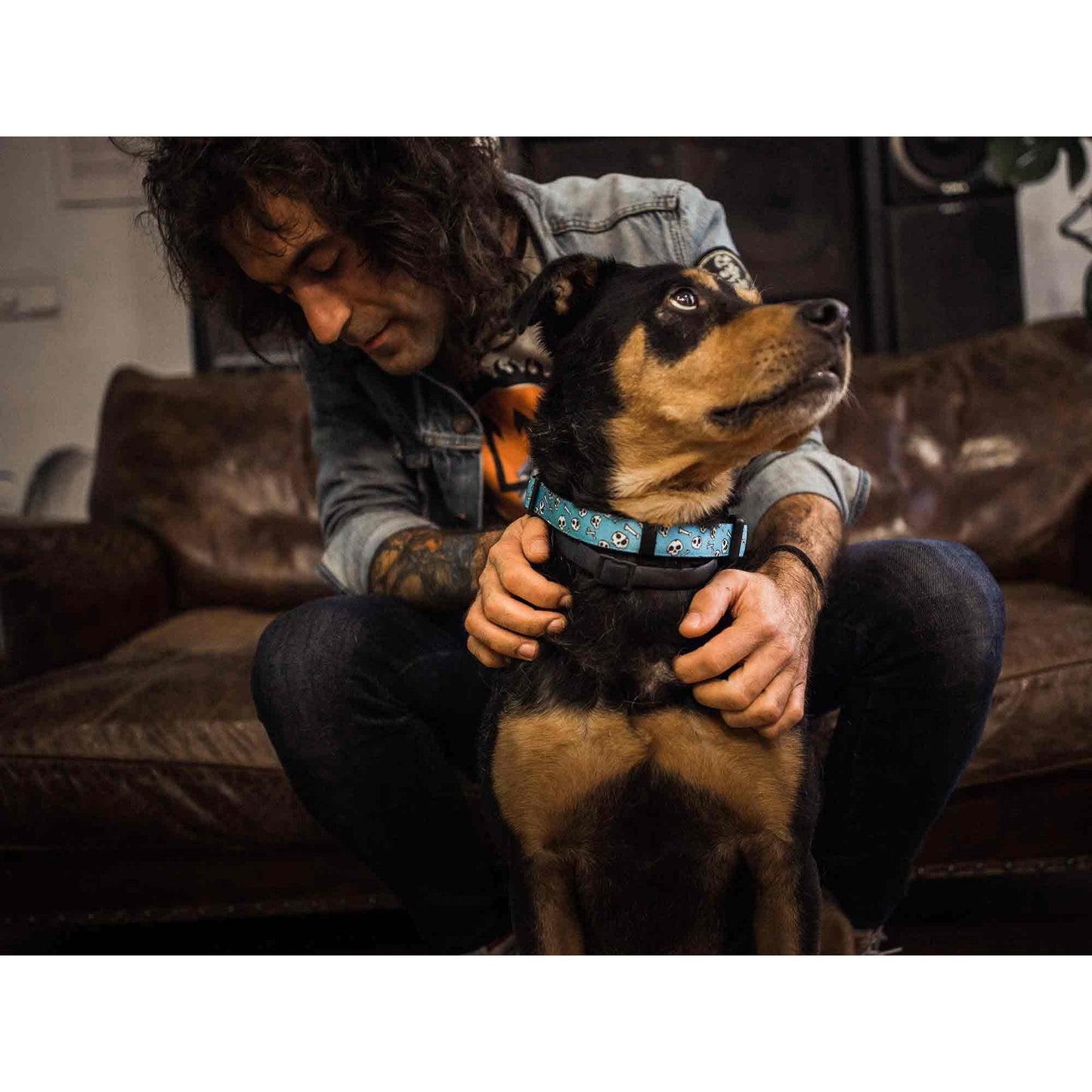 Coleira para cães SKULLS Dukier