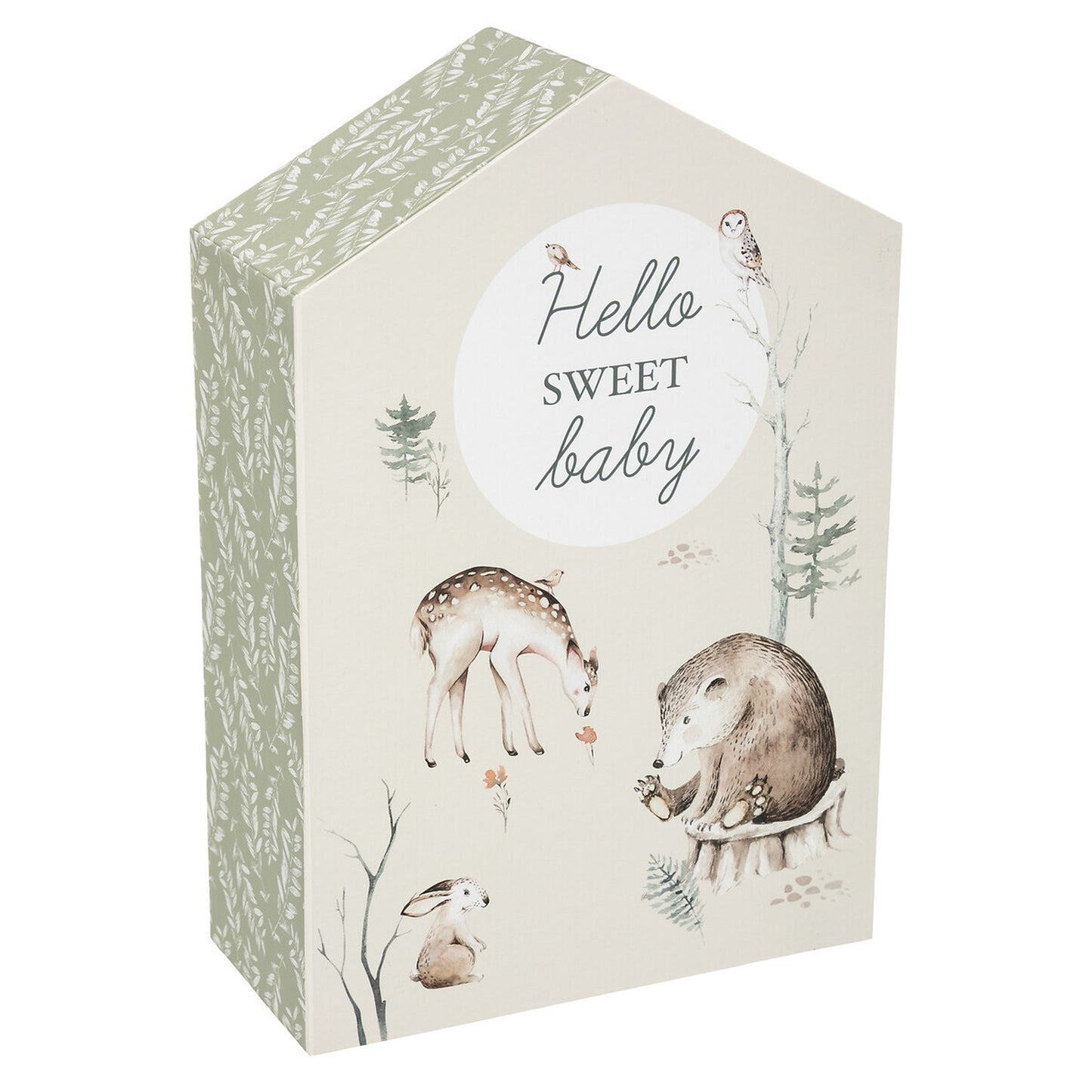 Caja De La Casa Del Bosque_1