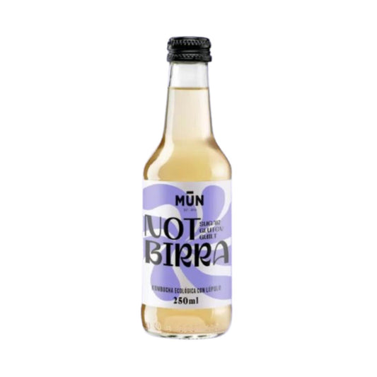 Não cerveja Paleobirra Kombutxa 250 ml