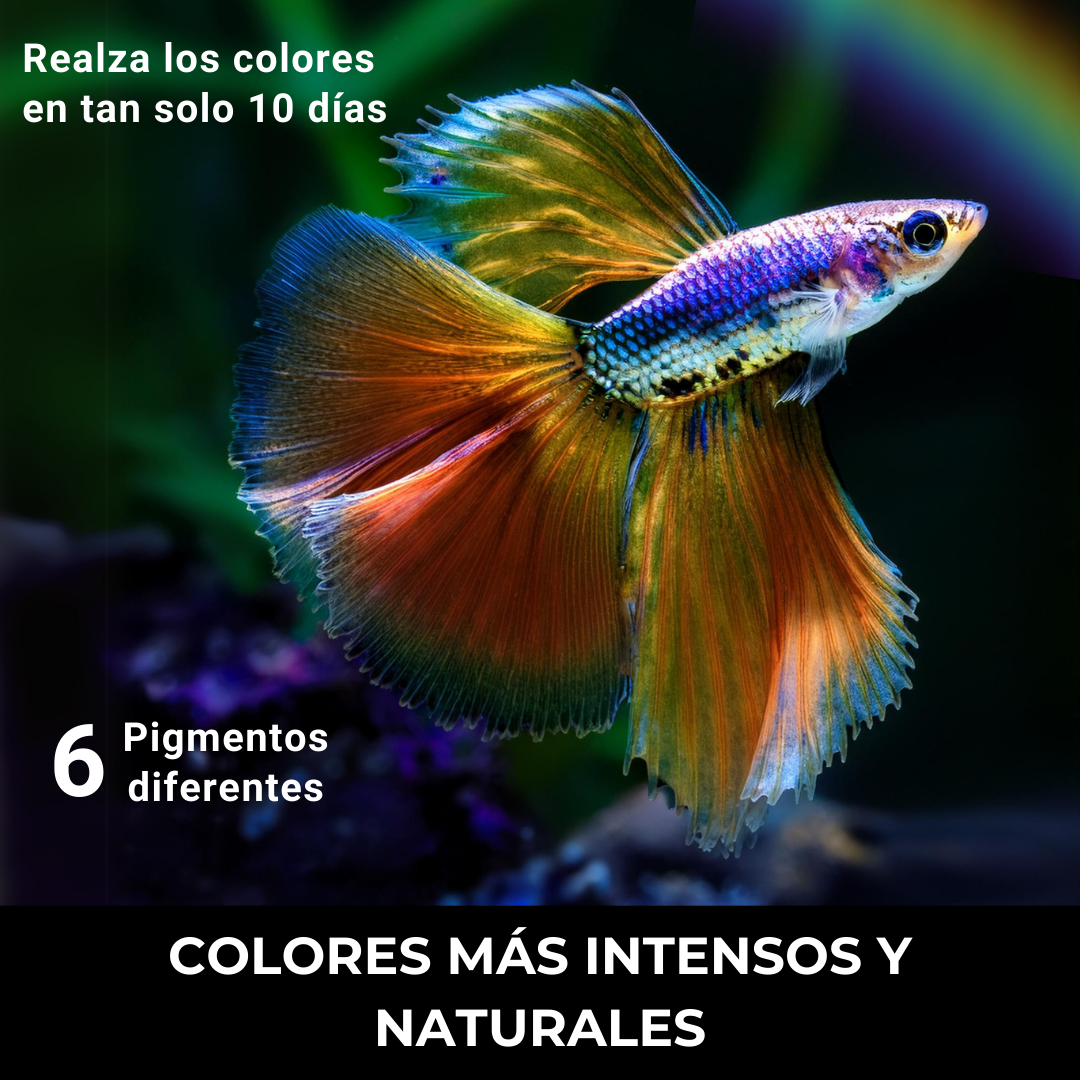 Comida Para Peces Tropicales, Alimento Premium En Escamas, No Ensucia El Agua, Incros Vital_3
