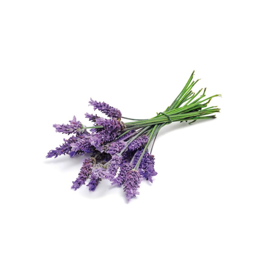 Óleo Essencial de Lavanda El Granero, 12 ml