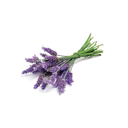 Óleo Essencial de Lavanda El Granero, 12 ml