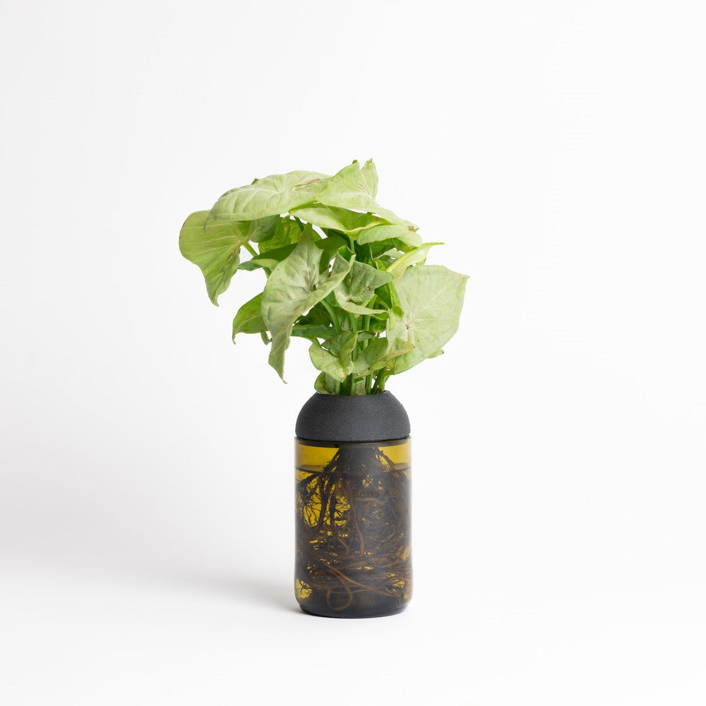 Macetero Transparente Citysens Con Soporte De Ébano – Verde, Vidrio Reutilizado Y Biofilamento De Madera 3d_5