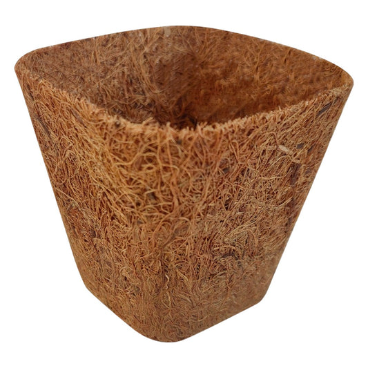 Macetas cuadradas de fibra de coco Biotop 6 x 6 x 6 cm (6uds)