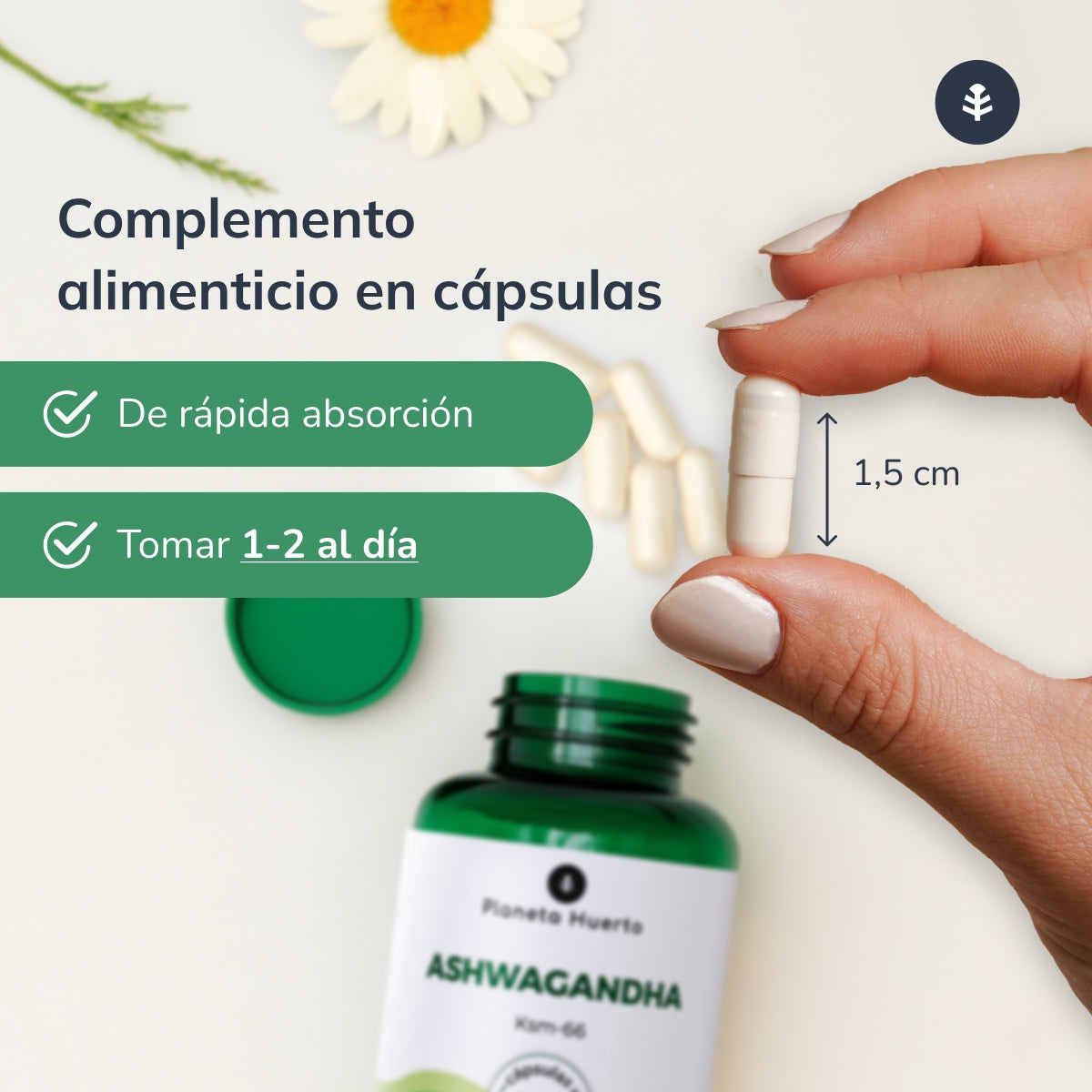 Embalagem de 2 cápsulas Ashwagandha KSM-66 Orchard Planet 60 cápsulas