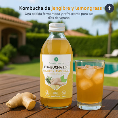 Embalagem de 6 Kombucha ECO Gengibre e Erva-príncipe Planeta Huerto 330 ml
