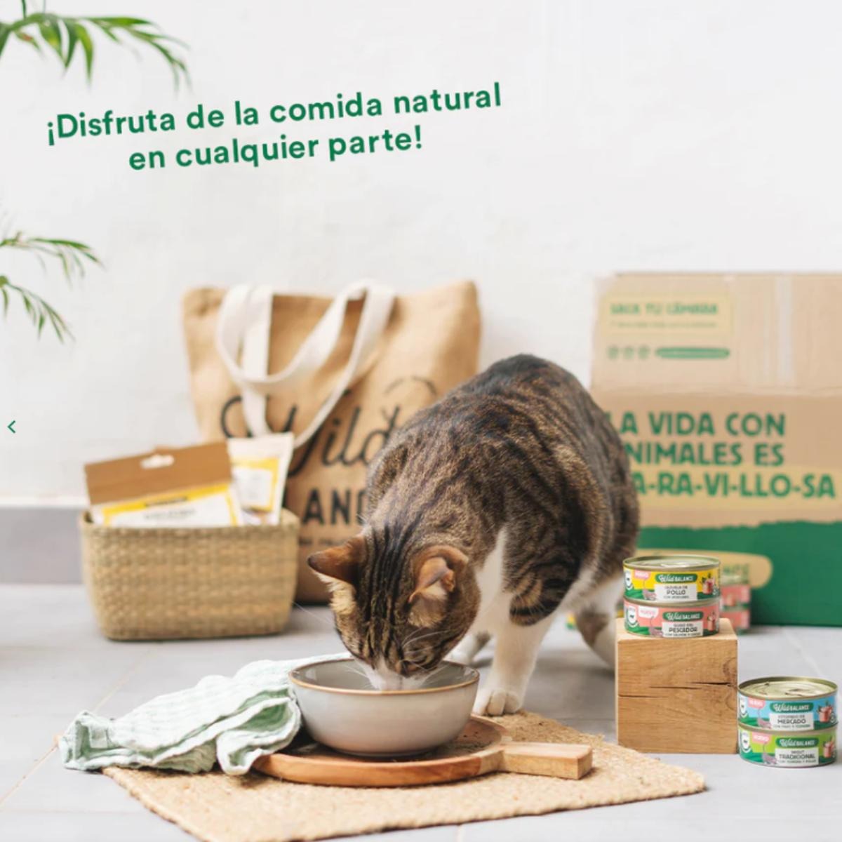 Ragu Tradicional de Carne e Frango Equilíbrio Selvagem para Gatos 6x80g