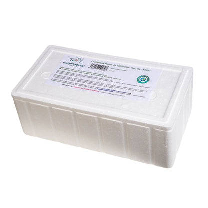 Minhocas vermelhas da Califórnia para vermicomposto Multihuerto