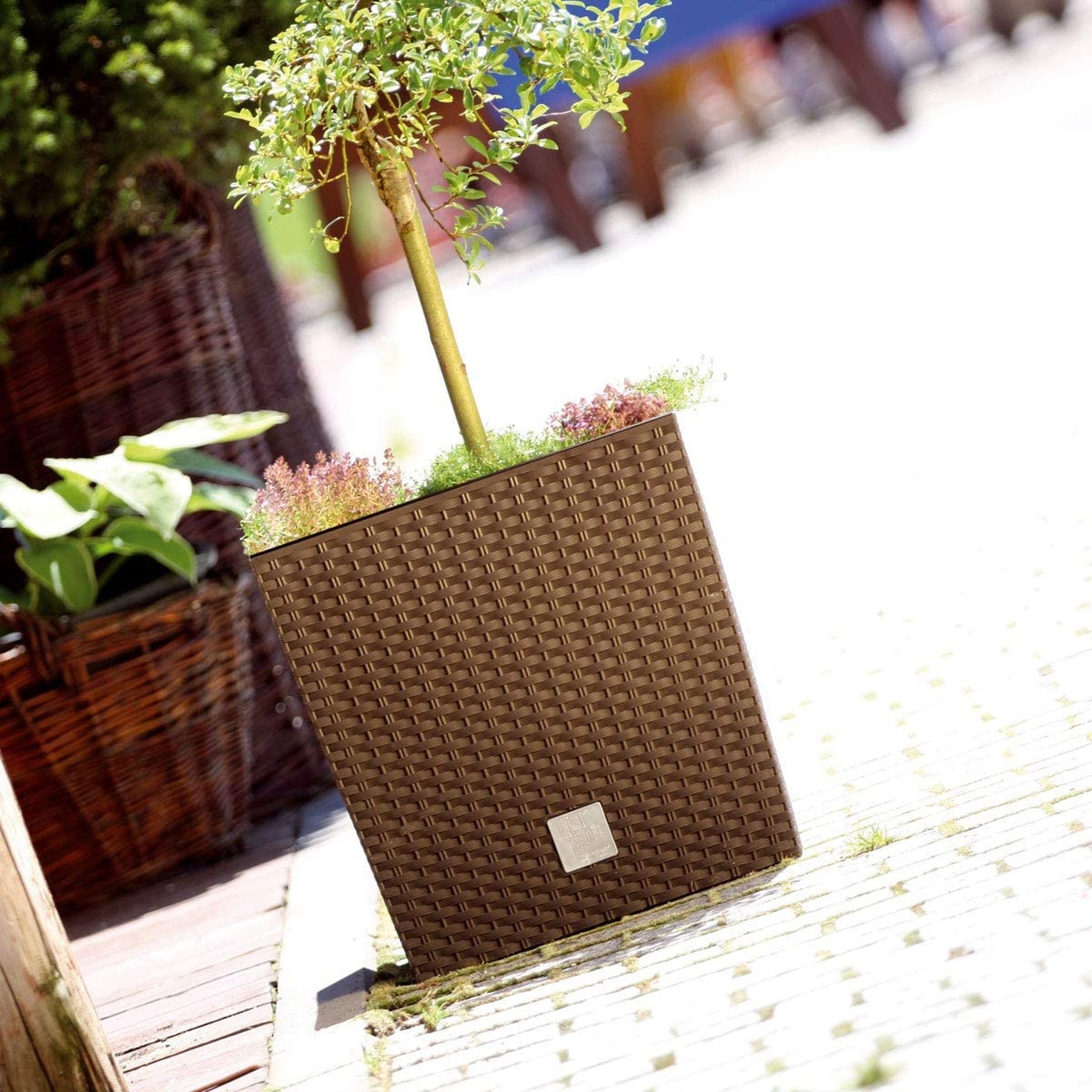 Maceta Rato 64 Litros Con Cubilete Para Plantar En Color Mocca 40 X 40 X 41 Cm._2
