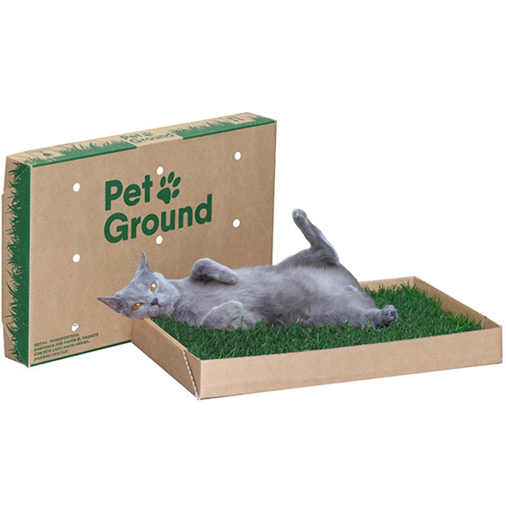 Petground, Arenero Para Gatos, Cama De Césped Natural, Hierba Gatera, Alfombra Olfativa S: 62 X 40 Cm_0