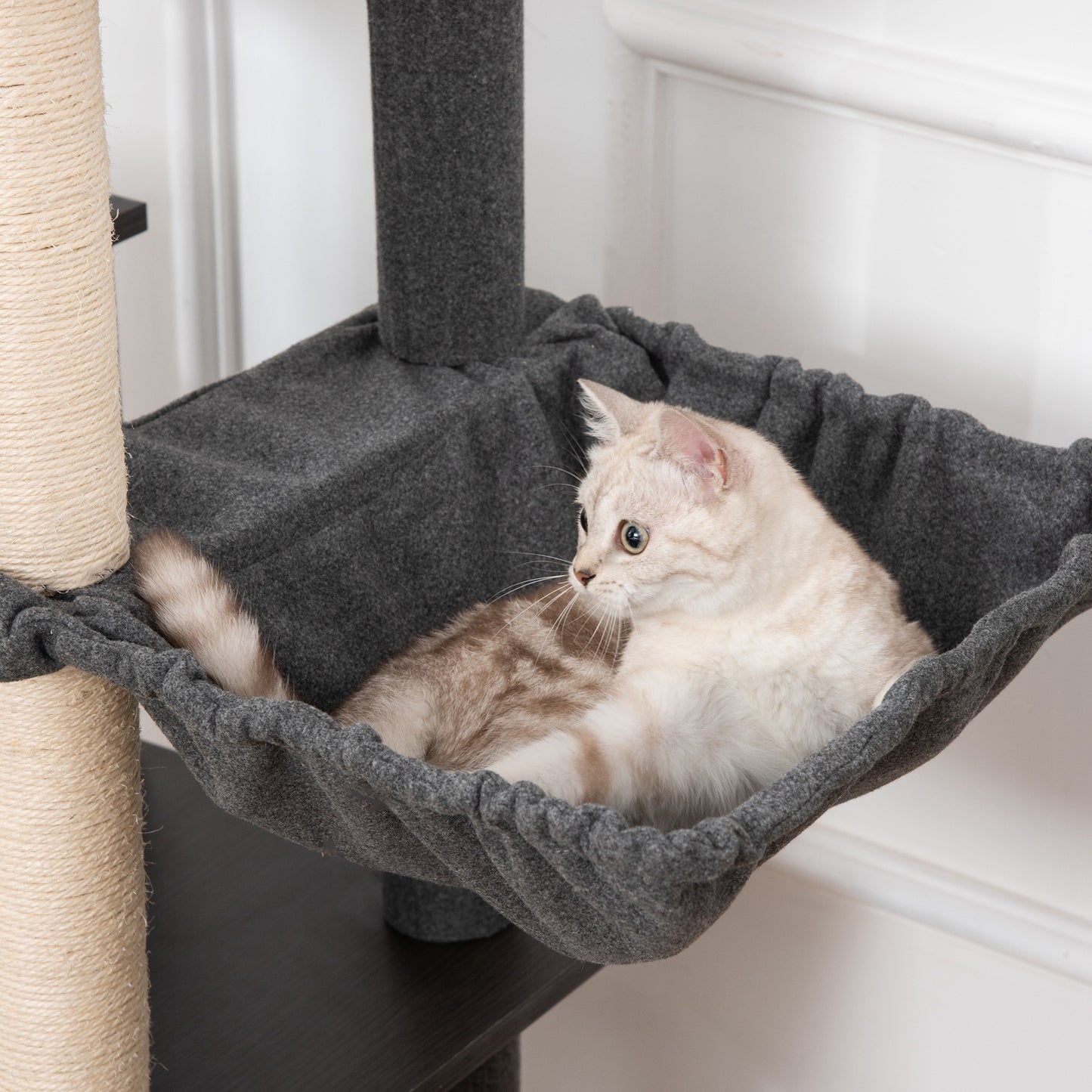 Pawhut Árbol Para Gato Con Cueva De Fieltro Extraíble Poste Rascador 60x40x146cm_3