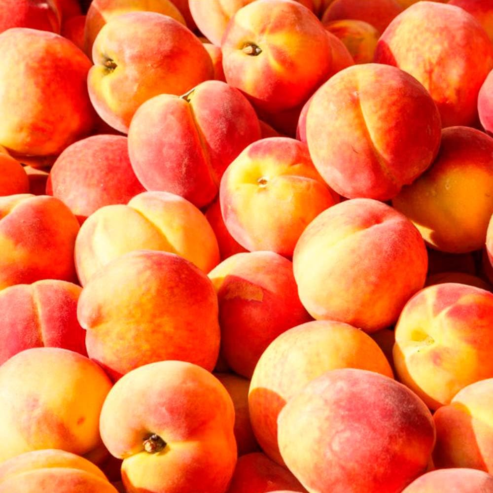 Fragancia Para Lámpara Catalítica Aroma Peach Velvet (200ml) - Elimina Malos Olores, Perfuma Y Limpia El Ambiente_2