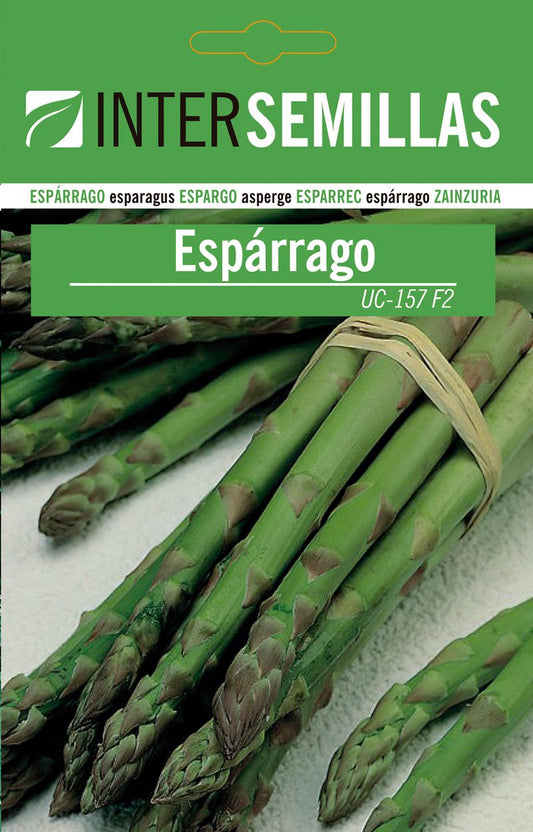 Sobre De Semillas De Esparragos Uc_0